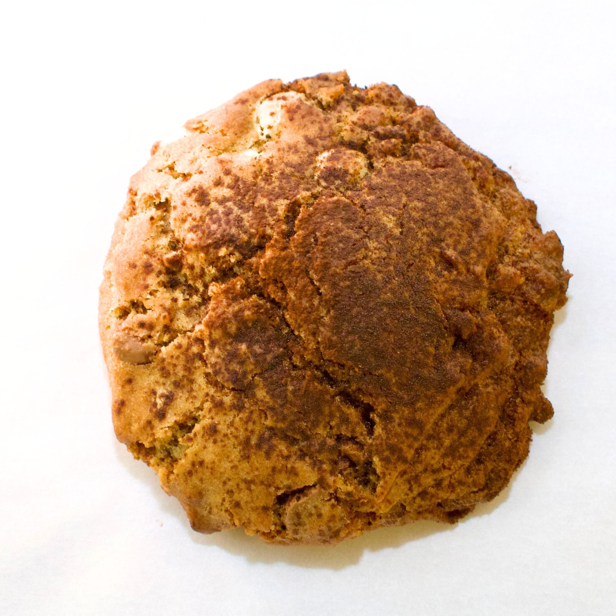 Tiramisu cookie with cocoa dusting and visible chocolate chunks